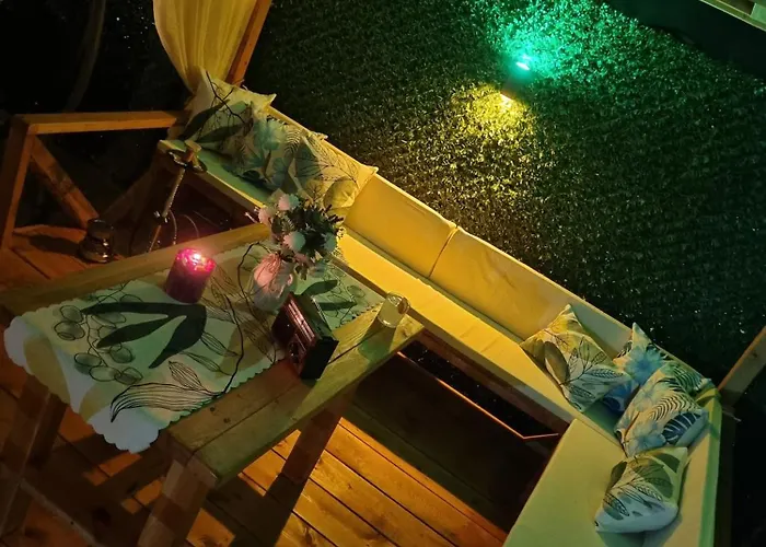 فيلة Wind كاس